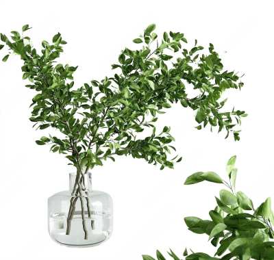 水生植物3D模型下载